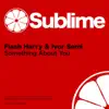 Flash Harry & Ivor Semi - Something About You - Single