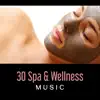 Various Artists - 30 Spa & Wellness Music – Beauty Day Relaxation, Eternal Dreams, Totally Stress Relief, Renew Your Spirit, Comfort Zone, Well-Being