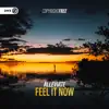 Alleviate & Dirty Workz - Feel It Now - Single