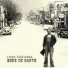 Jenny Scheinman - Here on Earth