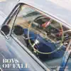 Boys of Fall - How's It Going to Be - Single