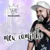 Walter Júnior - Vou Seguindo Meu Caminho - Single