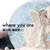 Maoutamashii & 森田交一 - Where You Are - Single