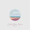 Causland - Lake Shore Drive - Single