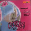 Cobra Band - Hit