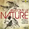 Roberto Vallicelli - Anatomy of Nature