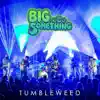 Big Something - Tumbleweed - Single