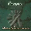 Amergin - Música Celta En Concierto