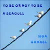 Isoa Gambel - To Be or Not to Be a Seagull