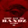 SRP Entertainment, SideSideDrip, HiLife Dre & Booman - Bands - Single