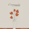 AFTERGLOW - Campanula - Single