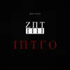 Don Fuego - Intro (ZNT4) - Single