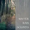 Rain Sounds - Winter Rain Sounds