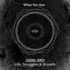 Jordan James - What You See - Single