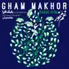 Babak Afra - Gham Makhor - Single