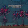 Desoncote - Montreux - Single