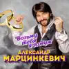 Aleksandr Martsinkevich - Возьму тебя я замуж - Single