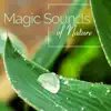 Close to Nature Music Ensemble - Magic Sounds of Nature - REM Deep Sleep Inducing, Healing Music, Relaxation, Reiki, Meditation, Yoga, Spa, Sleep Therapy