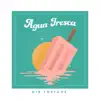 Dib Fortune - Agua Fresca