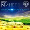 Сергей Минеев - Босиком по чистому золоту