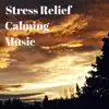 Spa & Destress Relaxing Music School & White Noise For Baby Sleep - Stress Relief Calming Music - Songs for Babies and Adults