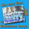 Barefoot Boys - The very best of barefoot boys, vol. 8