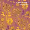 Pradyuman Kumar - Tropical Beats - Single