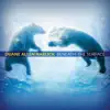 Duane Allen Harlick - Beneath the Surface