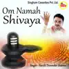 Pandit Devender Sharma - Om Namah Shivaya - Single