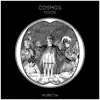 FOVOS - Cosmos - Single