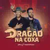 Davi e Fernando - Dragão na Coxa (Ao Vivo) - Single