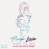 Playa Limbo - Hoy Ya No (Alan Salmon Remix) - Single