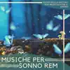 Sottofondo Musicale Maestro - Musiche per Sonno REM - Suoni della Natura per Meditazione & Sonno, Canzoni Subliminali