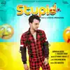 Armaan Bedil - Stupid (Remix) [feat. Raashi Sood] - Single