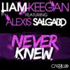 Liam Keegan - Never Knew (feat. Alexis Salgado)