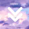 Bt thiago - Carnesi - Single