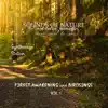 Synthwave Station - Sounds of Nature - Forest Awakening and Birdsongs for Meditaion, Relaxation, Stress Relief, to Calm Vol.1