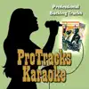 ProTracks Karaoke - Hot Picks Karaoke December 2006