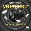 Dateam Mu - Mr Perfect (feat. Yung Smitty, Croz, Dr.Ake 1, Adott Hefner, Unghetto Matheiu & Juelz Santana) - Single