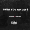 Loverprinz - Shey You Go Dey (feat. Young nizzy) - Single