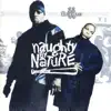 Naughty By Nature - Iicons