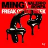 MING & Valerio Bonfa - Freak of the Week - Single