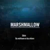 Marshmallow - 2044 du méthane et du chlore - Single