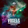 Voxels - Synthmetric EP