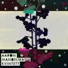 Aaron Mandelmann Kvintett - Aaron Mandelmann Kvintett (feat. Karl Bjorå, Hannes Bennich, Emil Nerstrand & Pontus Häggblom) - EP