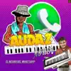 El Audaz Junior - El Negro Del Whatsapp