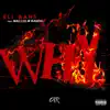 Eli Bans - Why (feat. Malcolm Bando) - Single