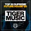 Various Artists - Top 30 Supreme Future House Winter '20