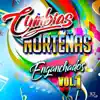 Cumbias Nortenas & Cumbias Para Bailar - Cumbias Norteñas Enganchadas Vol1 (Enganchados Vol 1)