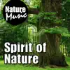 Nature Music - Spirit of Nature (Nature Sound With Music)